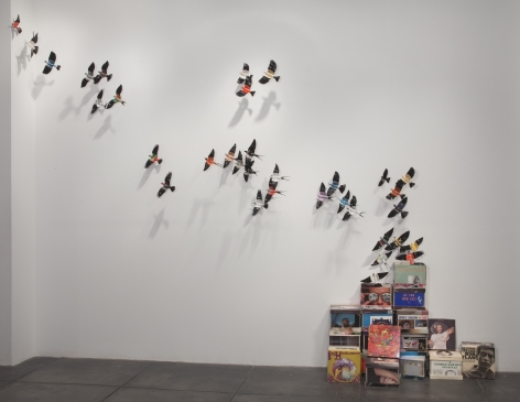 PAUL VILLINSKI Boxed Birds, 2010