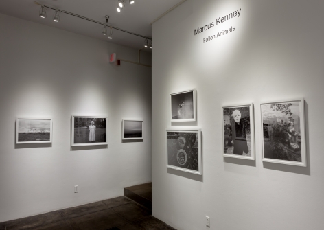 MARCUS KENNEY III Fallen Animals, [Middle Gallery Installation View]
