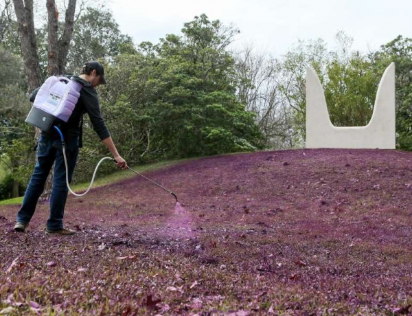 It’s a paint in the grass to keep McNay Art Museum installation looking good